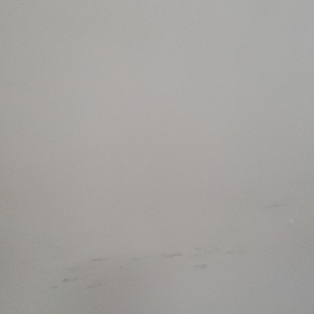 Meet your Posher, Marisa